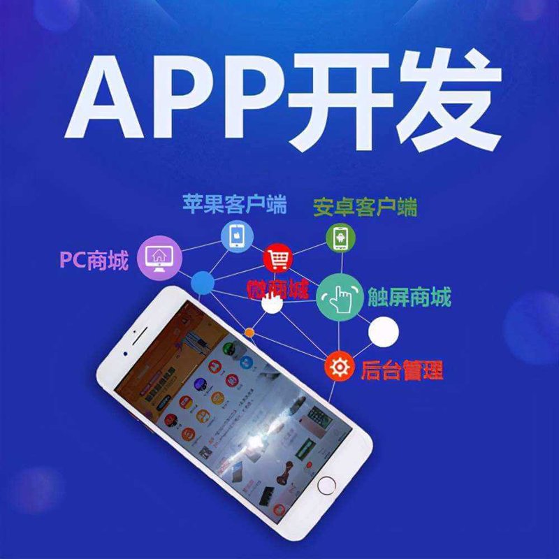 移动APP开发